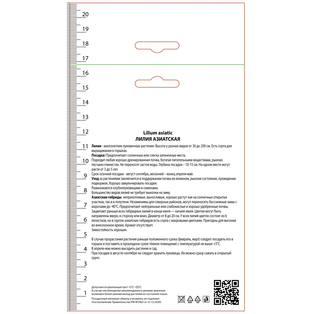 Лилия азиатская Нью Вейв ПОИСК STLM-2026443 - Вид №1