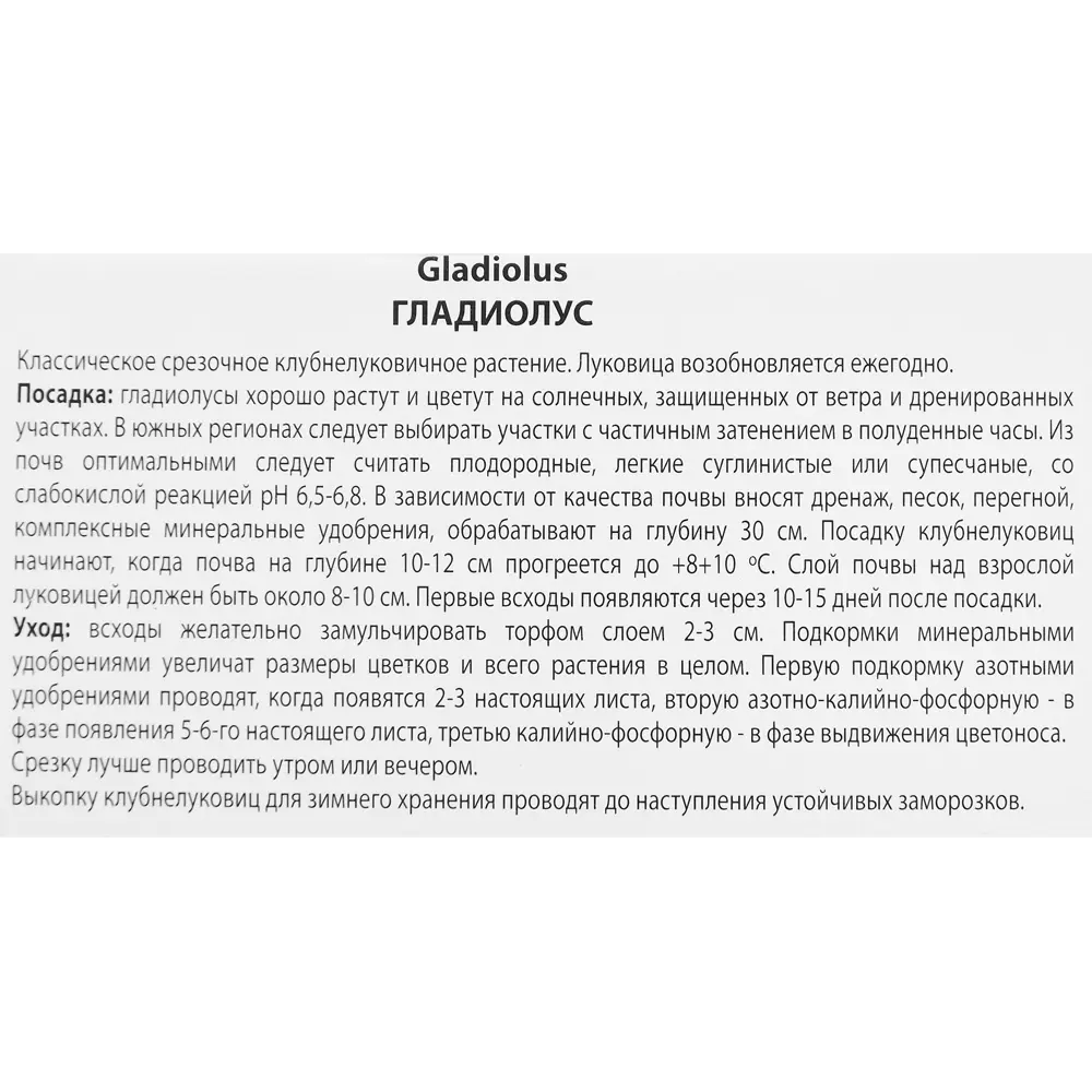 Гладиолус крупноцветковый Прага, 5 шт. 89351793 STLM-2185951 ПОИСК  - Вид №2