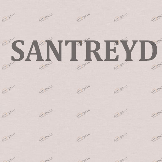 517064 Обои Rasch Palace