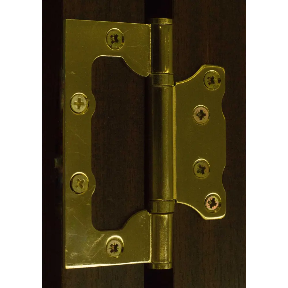 13965063 Петля без врезки Fuaro 500-2ВВ 100x75x2.5 мм сталь цвет матовое золото STLM-0004057  - Вид №3