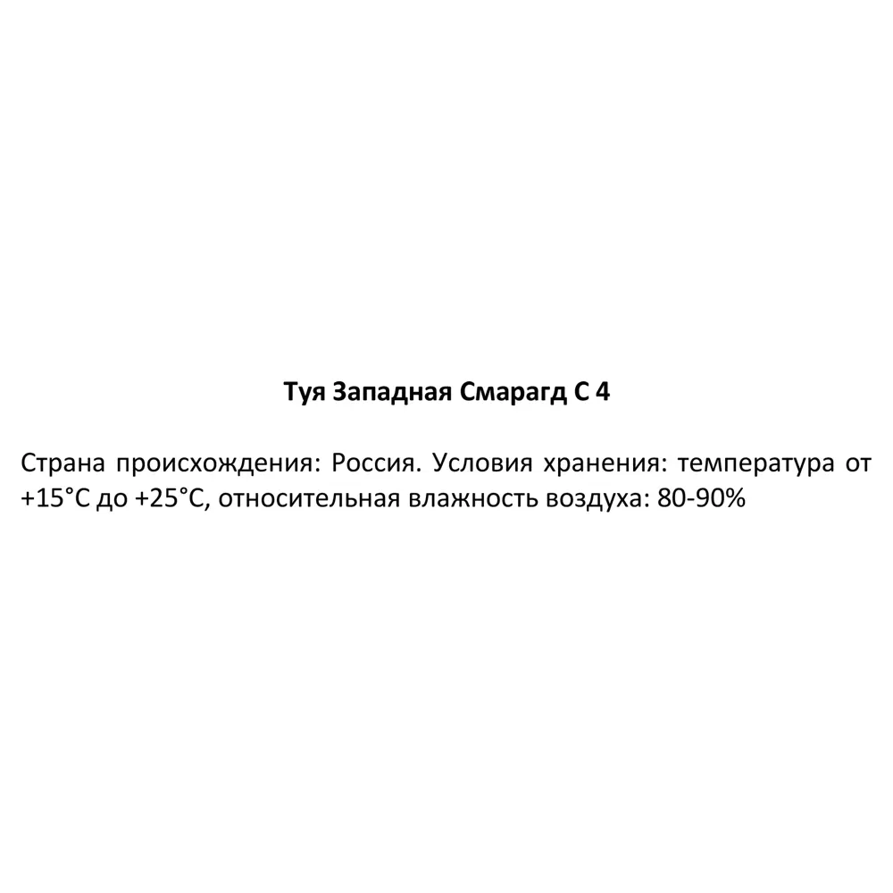 Santreyd Туя западная для живой изгороди 80 см 84429202 STLM-0049926 - Вид №3