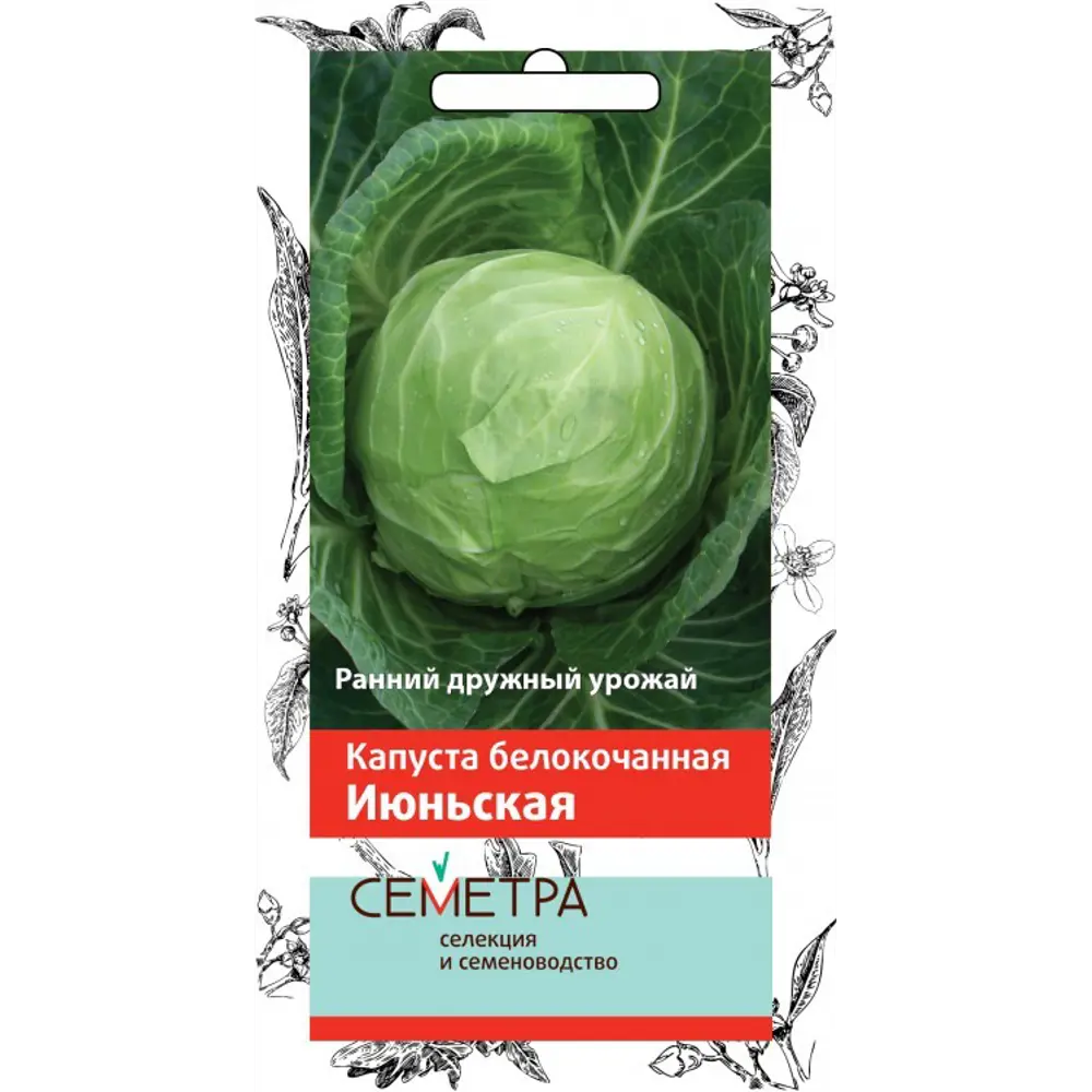 Семена Капуста белокочанная «Июньская» 83147346 STLM-2171249 ПОИСК 