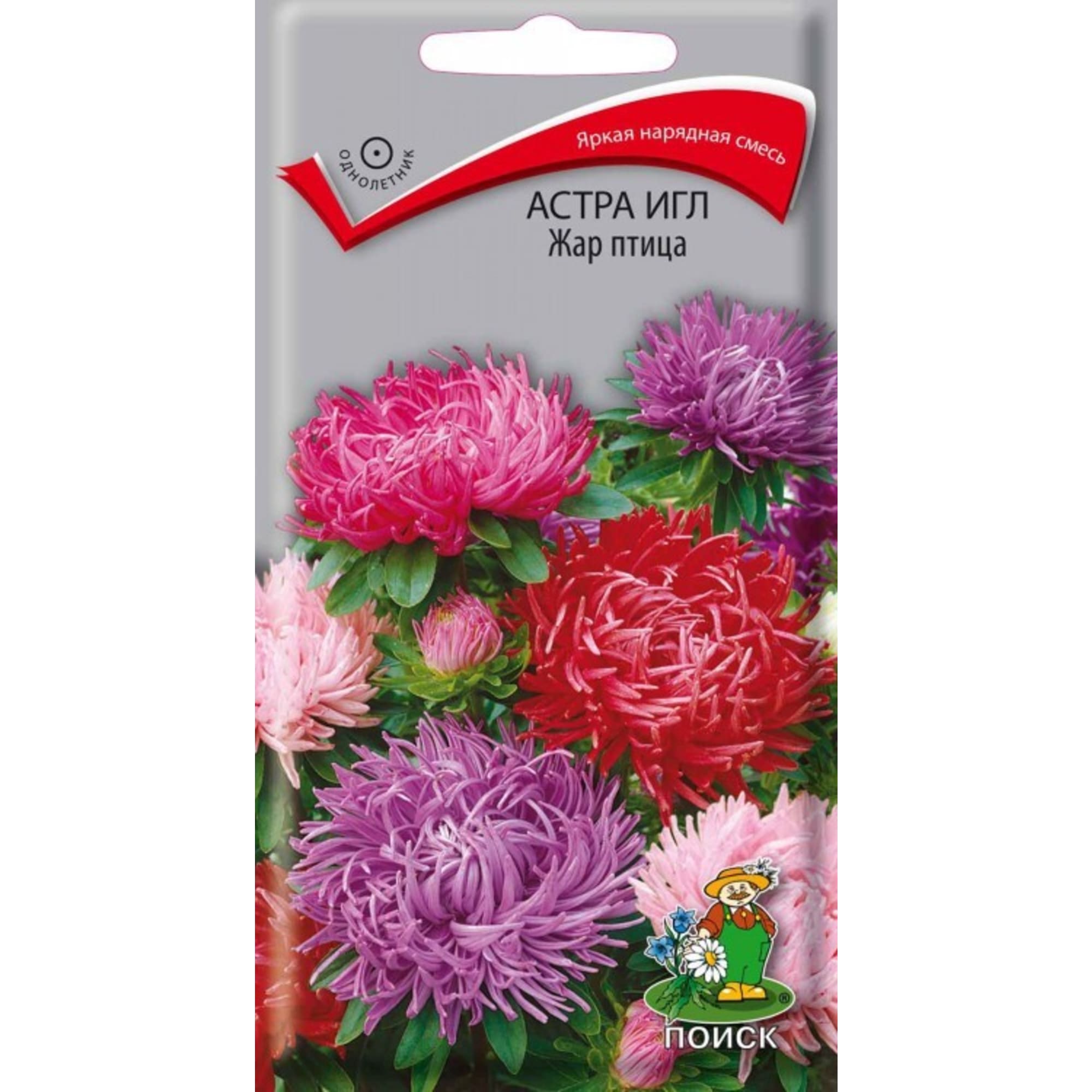 83227373 Семена Астра игл «Жар-Птица» Santreyd 