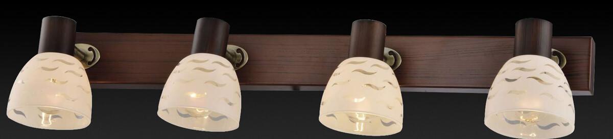 Спот настенный белый с 4 плафонами Toplight Shayla TL3730Y-04BB TOPLIGHT SHAYLA 00-3891226 Белый  - Вид №1