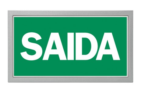 DST-614 Lisu flush-mounted Daisalux Светильники аварийные Серебристо-Серый 