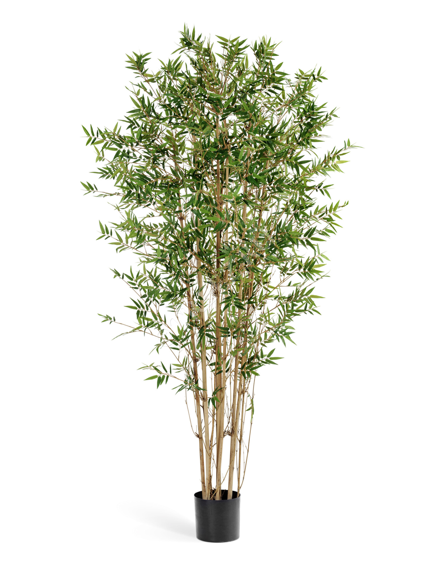 10.34307N Бамбук Японский ориенталь Цветочная коллекция 