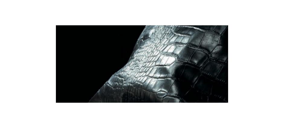 004119 Кушетка Long Ground Ascension Latorre Santreyd  - Вид №2