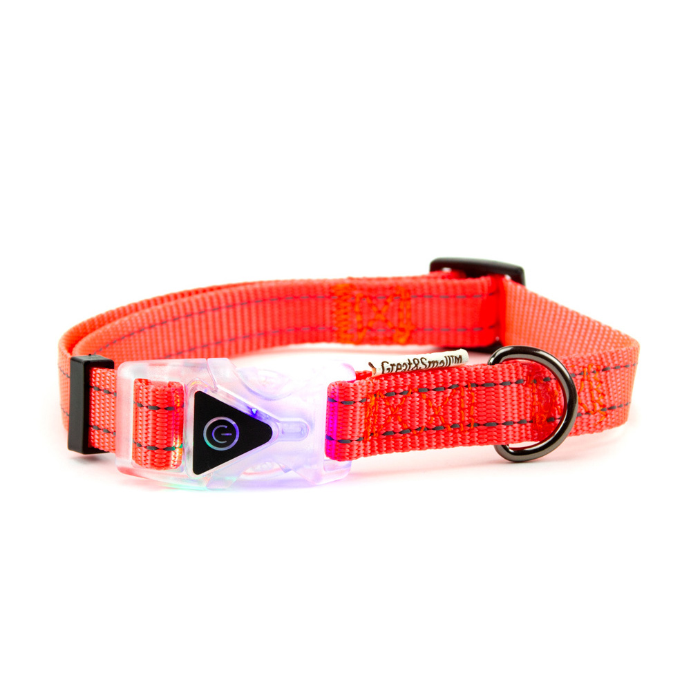 ПР0048470 Ошейник для собак со светящейся застежкой 450-650мм оранжевый Great&Small 