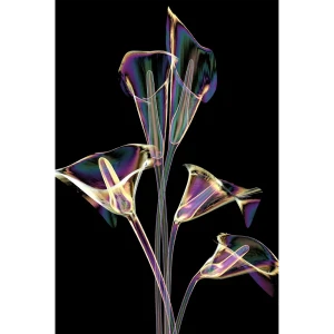 Картина на стекле Рентген 4 40x60 см 85282980 STLM-2005898