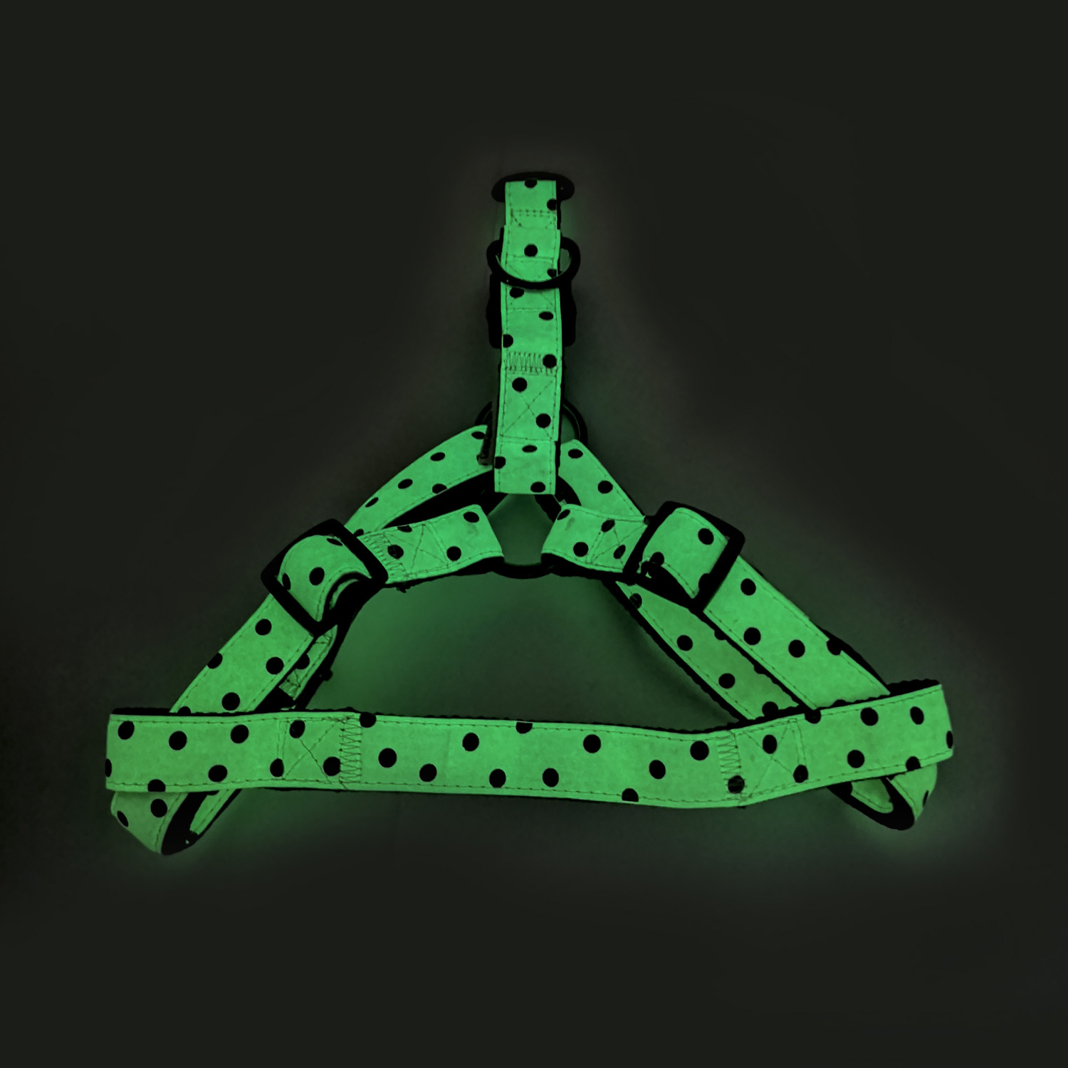 ПР0057040 Шлейка для собак Polka Dot 10мм (обхват 25-40см) светящийся в темноте Great&Small  - Вид №1