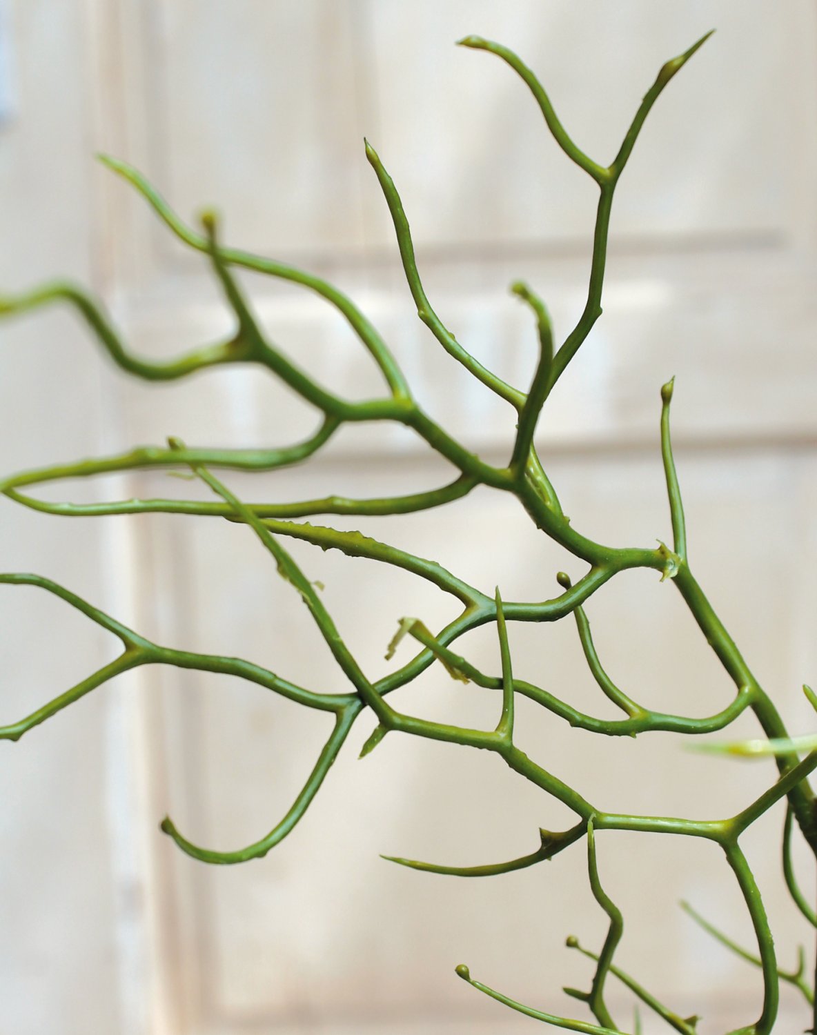 3294 883 a3 Спрей для искусственных растений, 100см, зеленый H-andreas  - Вид №1