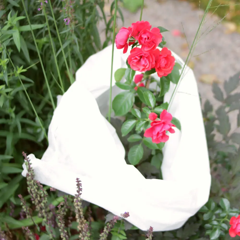 Зимнее укрытие для растений Агротекс 100 г/м² 1,6х5 м STLM-2152789 - Вид №2