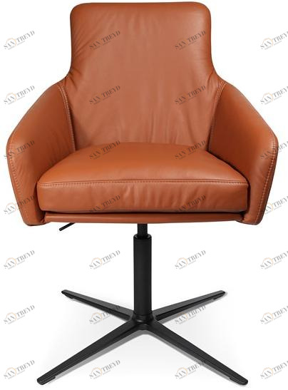 Wagner Кресло поворотное с 4-мя спицами W-cube sun-id-1391601