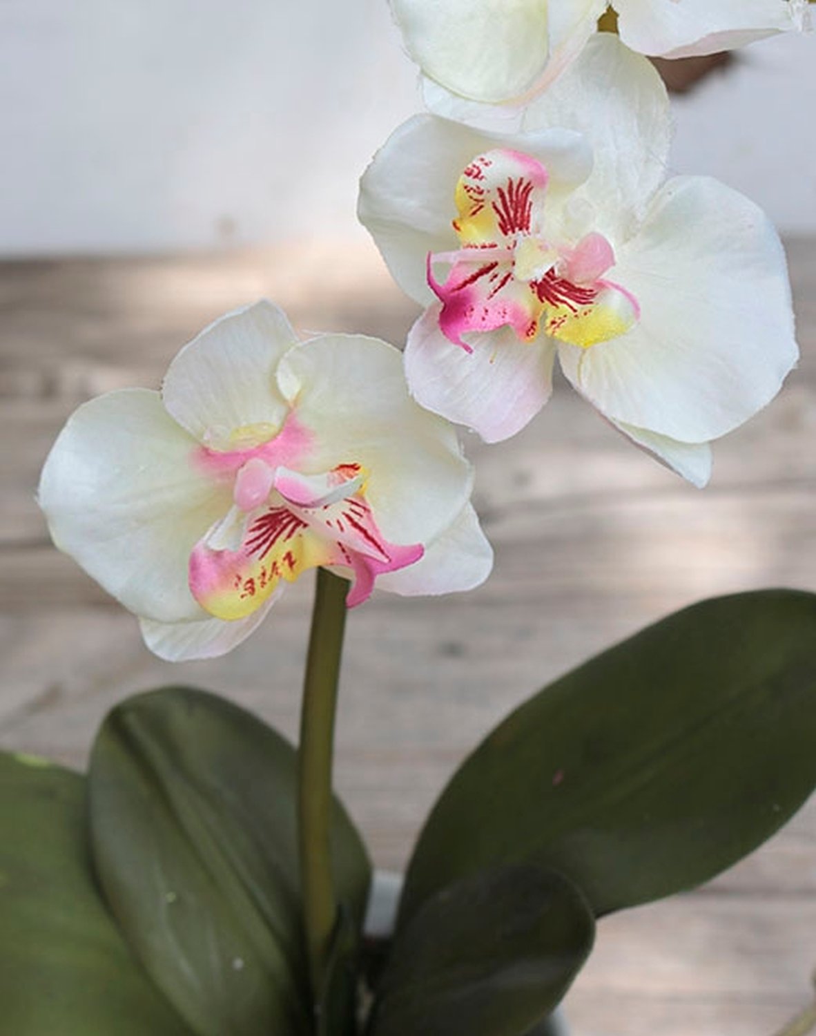 2528 755 a3 Искусственная орхидея Phalaenopsis, горшечная, 40 см, бежево-розовая H-andreas 