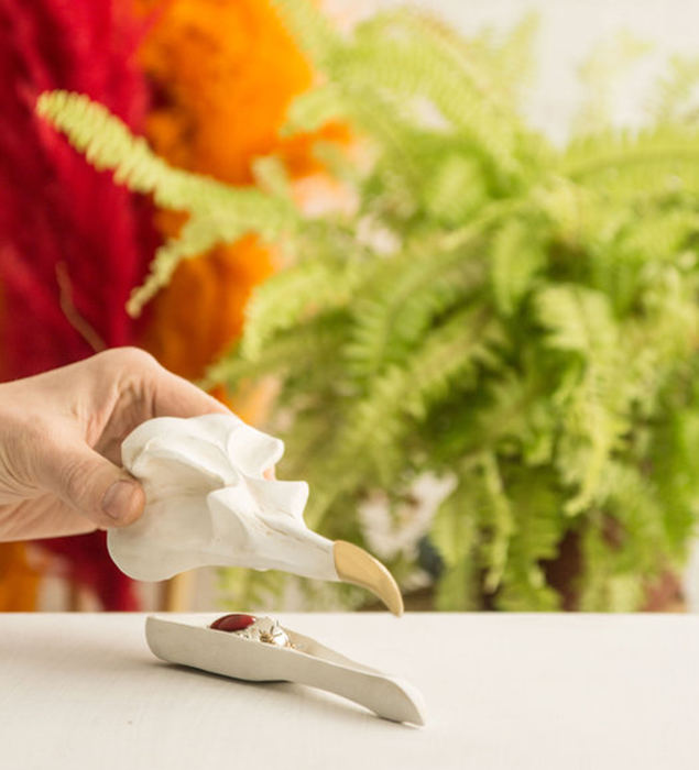 Шкатулка для украшений bird skull (белый) SUCK UK  299292 Белый  - Вид №2