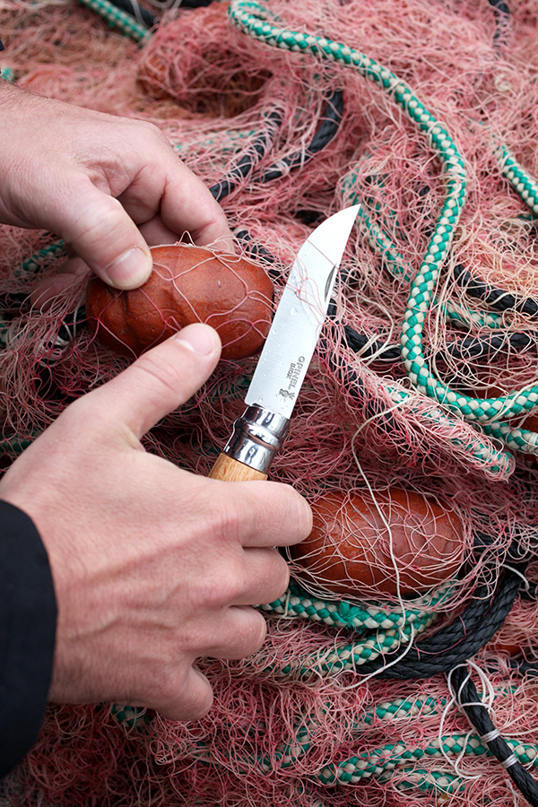 Нож Stainless Steel с ручкой из оливы 7 см Opinel 002023 - Вид №1