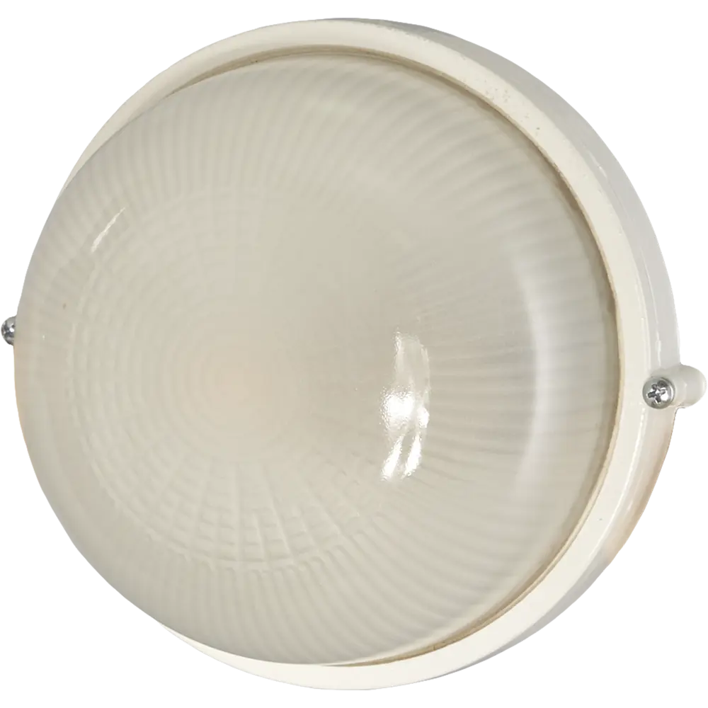 Светильник TDM Electric НПБ1301 для сложных условий - белый круглый 60Вт 15623673 STLM-0006154 - Вид №1