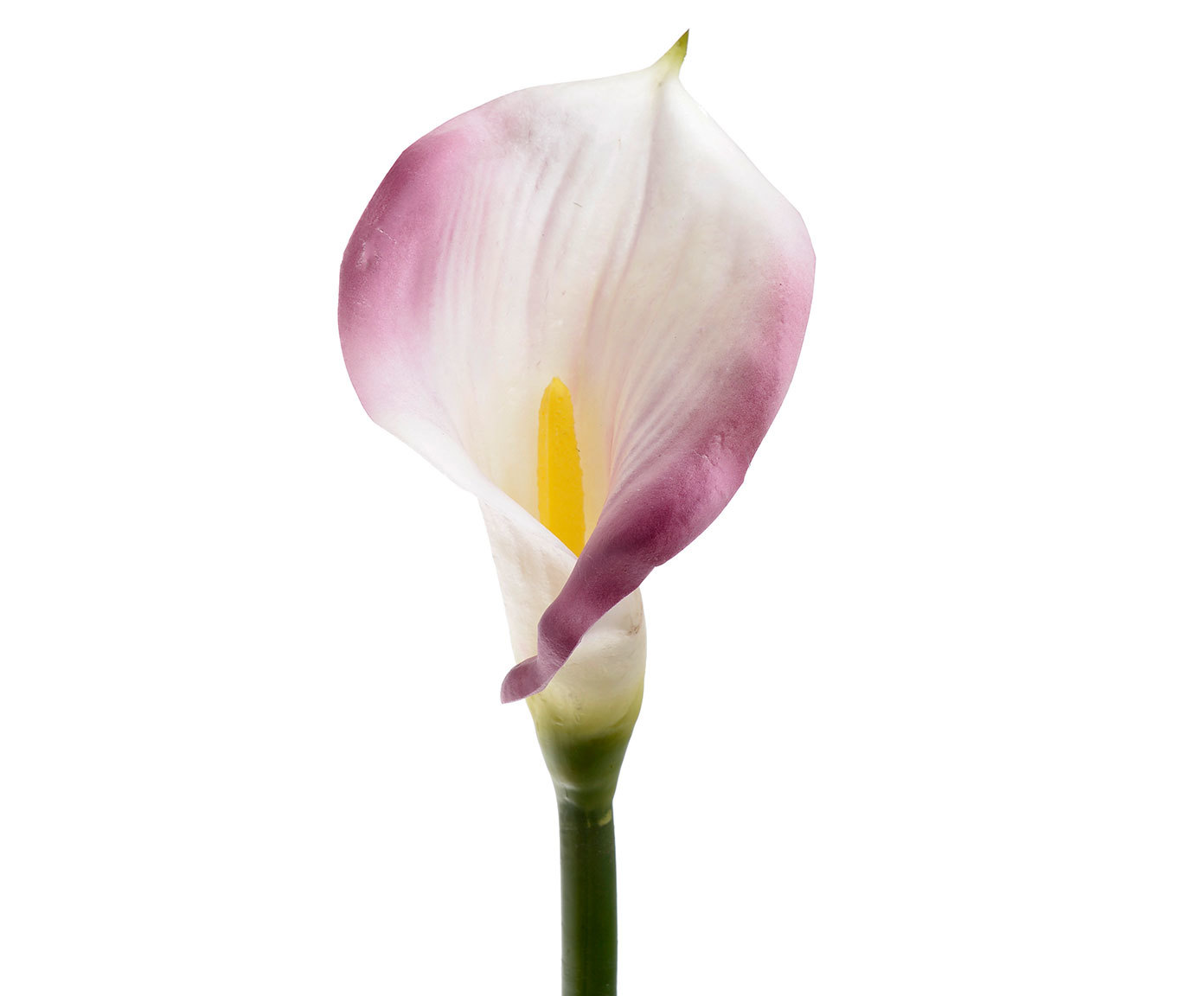 3885929.0006 искусственный цветок TO4ROOMS  - Вид №1