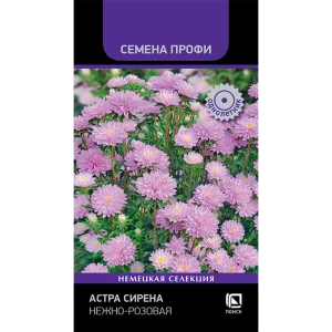 ПОИСК Астра Сирена нежно-розовая - готовый букет на клумбе 89401283