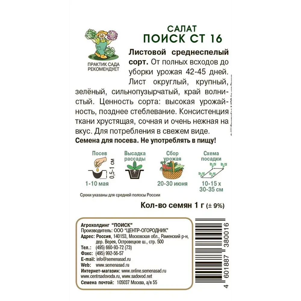 Семена салата Поиск СТ16 для выращивания в открытом грунте 89401146 STLM-1573975 - Вид №1