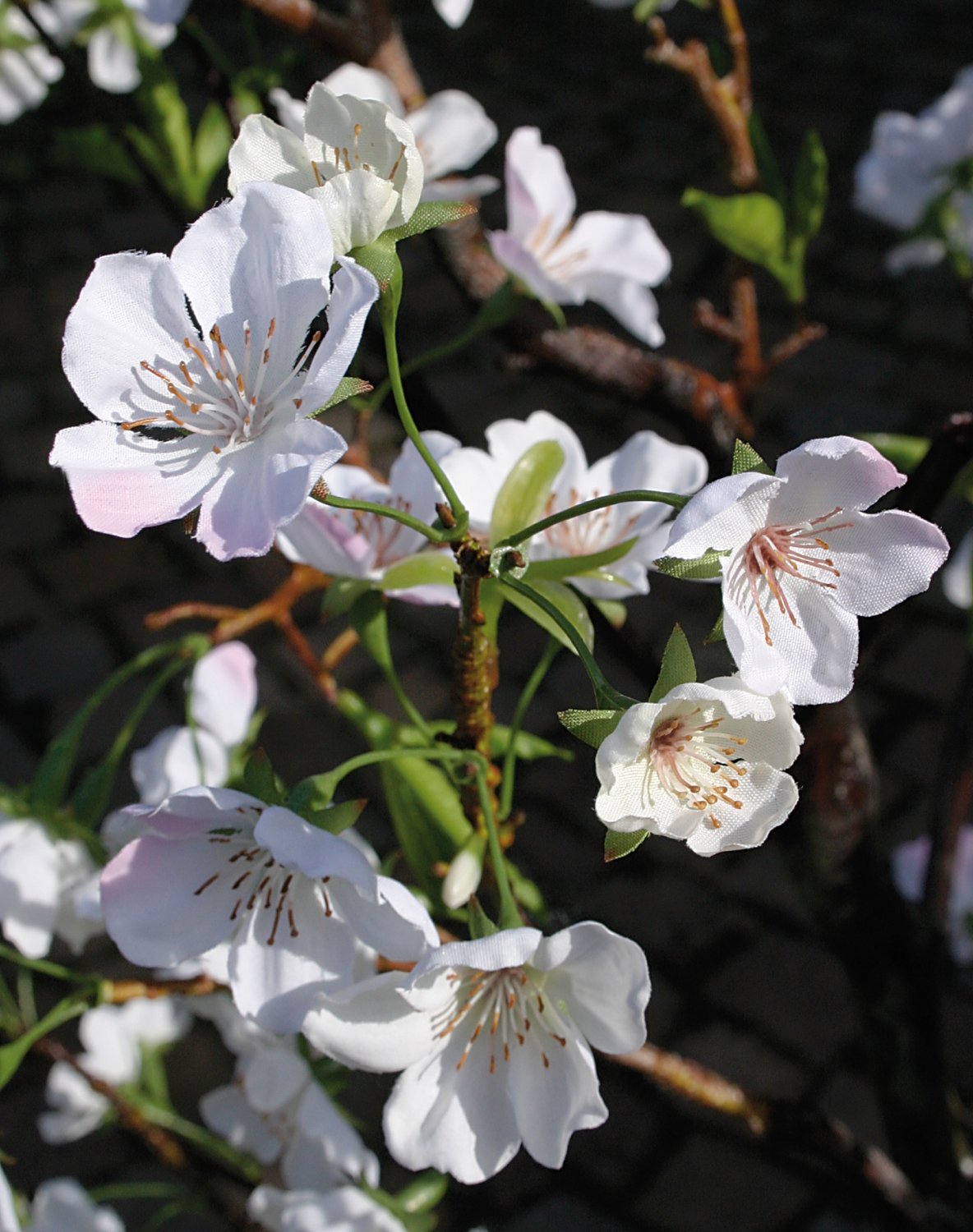 5501 778 a3 Пластиковая груша в горшке, 160 см, бежево-белая H-andreas  - Вид №2