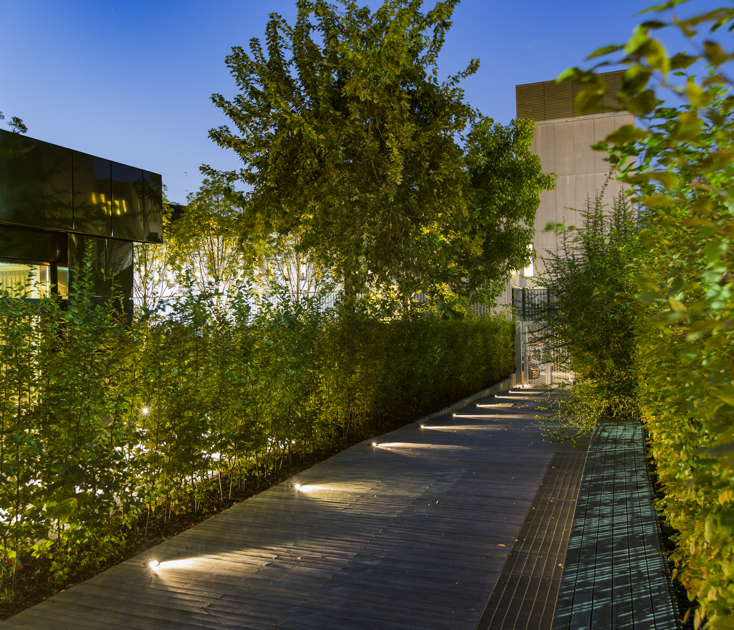 8409016 Настольный встаеваемый светильник Platek MINI Luce radente  MINI Roll Over - LED 3000K 1 Opening  - Вид №4