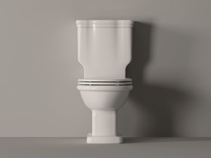 Керамический цельный туалет