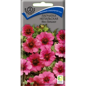 Лапчатка непальская Мисс Вильмот от ПОИСК - изысканный розовый многолетник 89401228