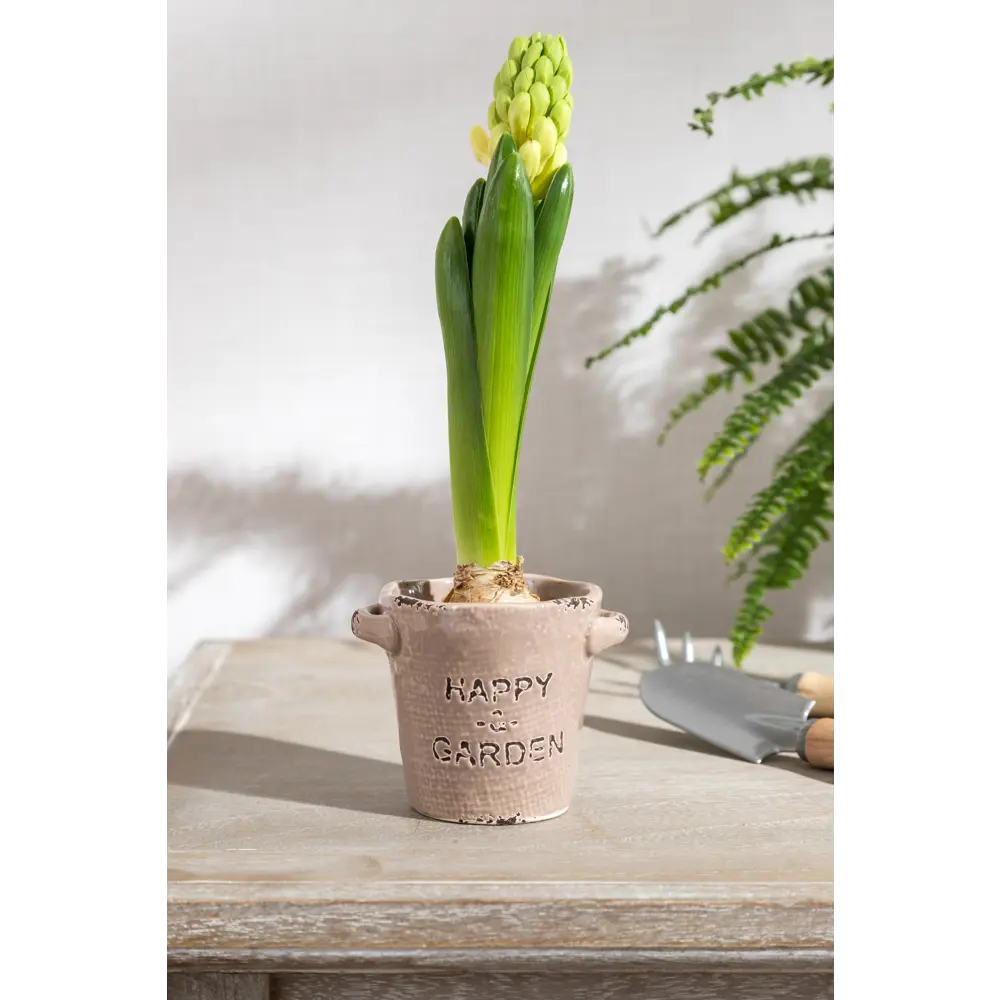 Кашпо-кактусник 7.5x7x9 см v0.17 л керамика коричневый GARDMAX STLM-2123367 - Вид №5