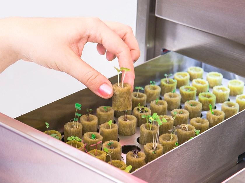 Natufia Отдельно стоящий кухонный модуль для гидропоники sun-id-1432001 - Вид №14