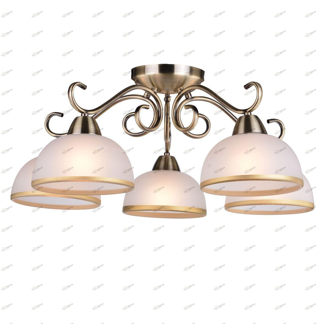 Потолочная люстра Arte Lamp Beatrice A1221PL-5AB ARTE LAMP BEATRICE 109031 Белый