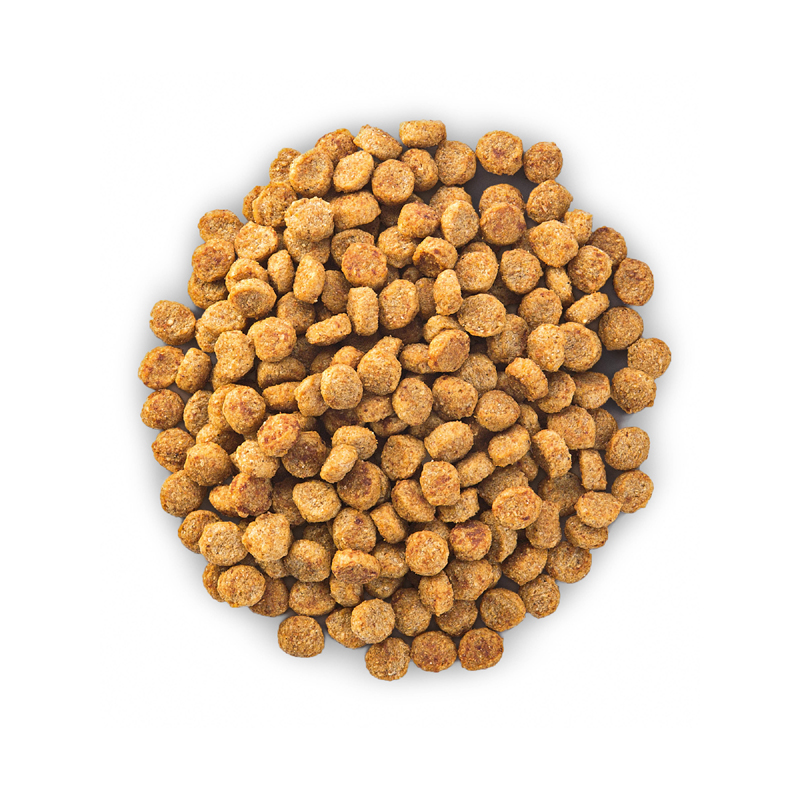 ПР0051160 Корм для собак HILL"S для миниатюрных пород облегченный, курица сух. 1,5кг Hill's  - Вид №6