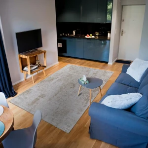 Ковер Merinos Point 200х300 см бежевый с узором 89423601