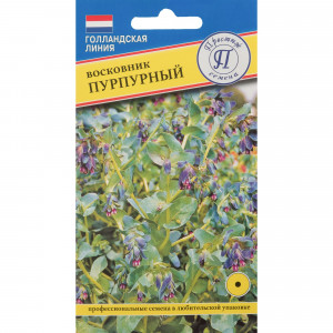 82107687 Восковник пурпурный