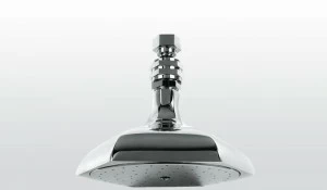 RUBINETTERIE STELLA Лейка дождевого душа Eccelsa 318a