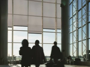 Dickson Солнцезащитная ткань из полиэстера для штор