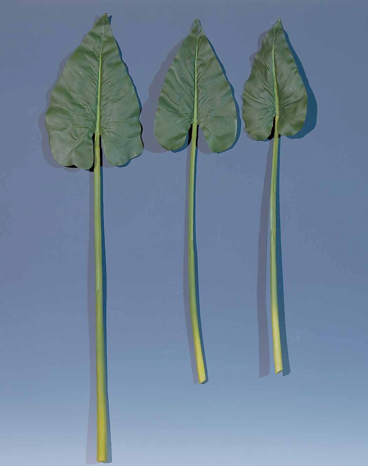 5153 883 a2 Искусственный лист зантедескии, 69 см, зеленый H-andreas  - Вид №1