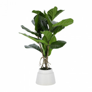 081744 Flower Искусственное растение лирата 60см La Forma Lyrata