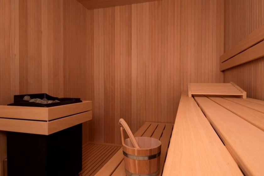 CARMENTA Сборная профессиональная финская сауна sun-id-1410764 - Вид №2