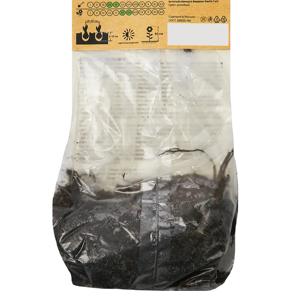 Астильба Арендса Федерзи - розовоцветущее корневище для сада 86408602 GEOLIA STLM-1565701 - Вид №1