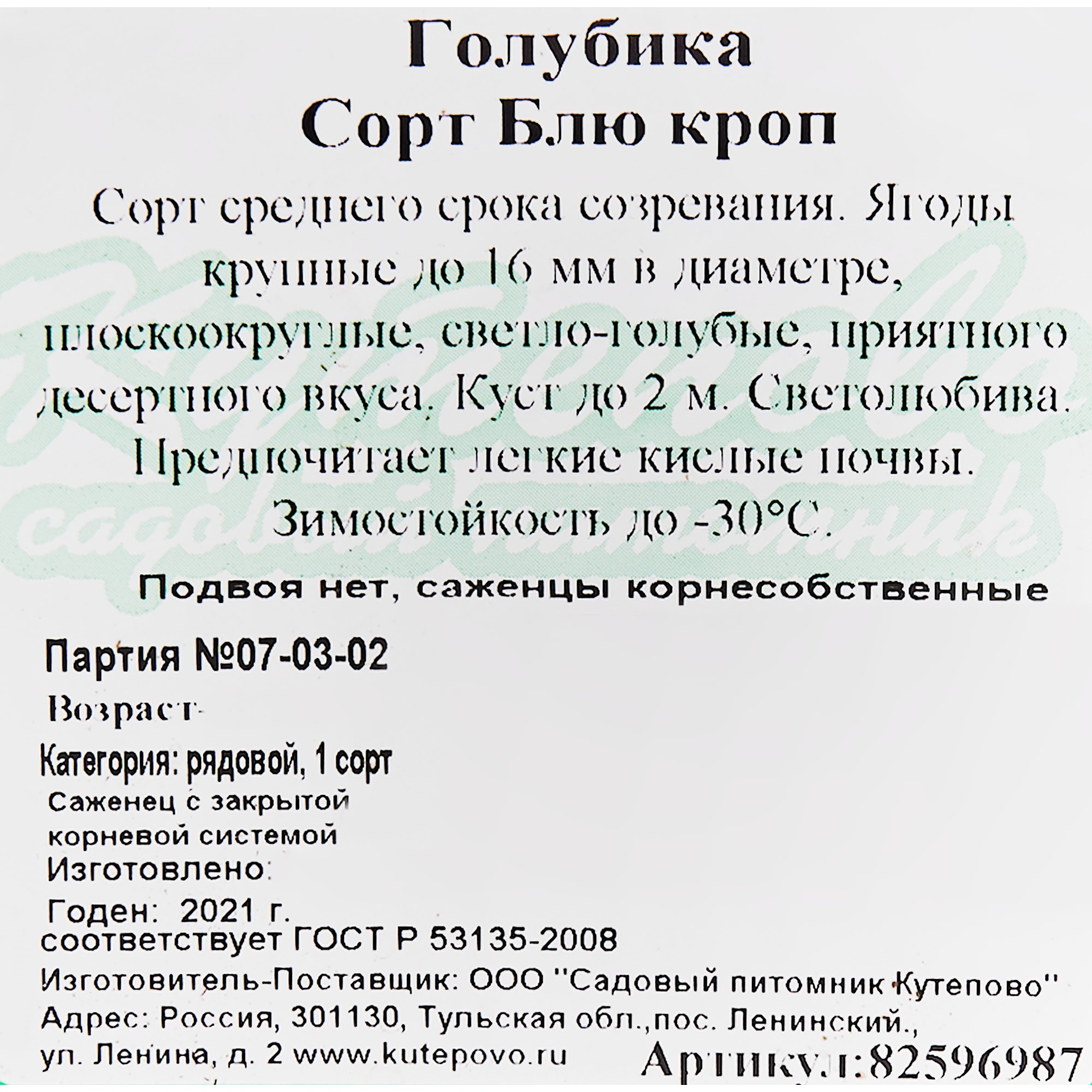 82596987 Голубика «Блю Кроп» C2 высота 30 см Santreyd  - Вид №1