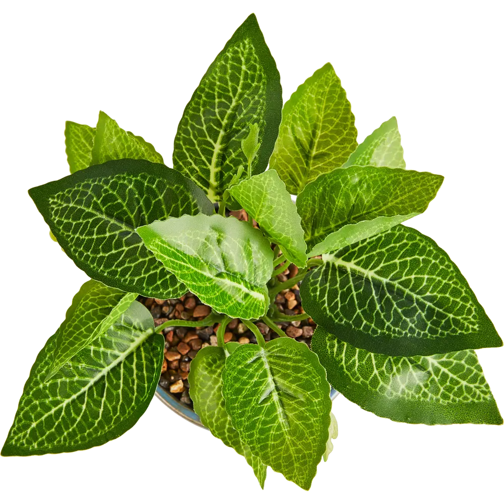 Искусственное растение Atmosphera 19 см STLM-2062679 - Вид №1