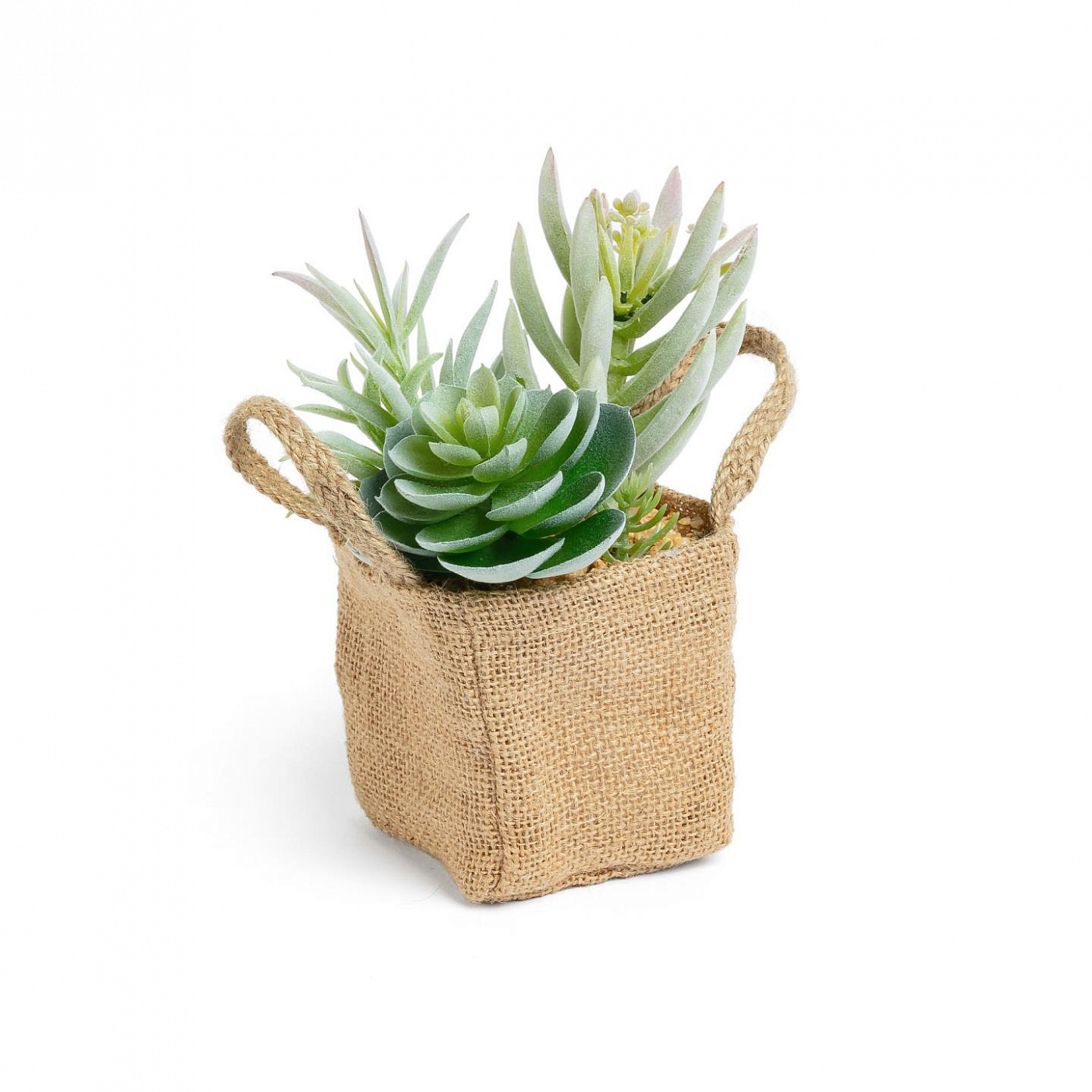 068868 Flower 3 искусственных суккулента в льняной сумке La Forma Suculenta  - Вид №1