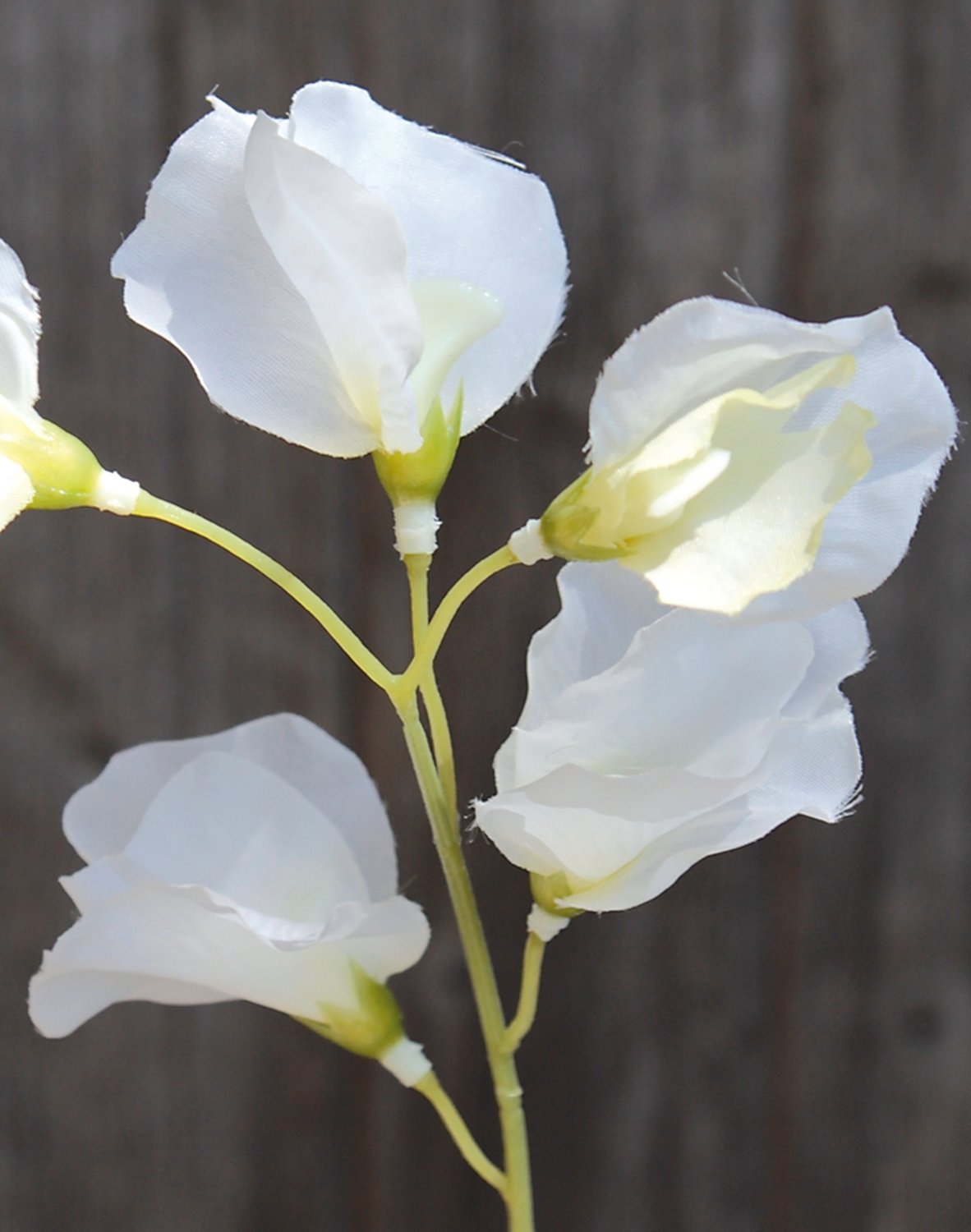 3181 005 a3 Вики искусственные, 4 штуки, 48 см, разноцветная миткалевая роза H-andreas  - Вид №6