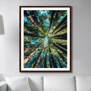 Фотокартина в деревянной раме 130х102 см Deep forest КАРТИНЫ В КВАРТИРУ  264885 Зеленый;коричневый;черный;разноцветный