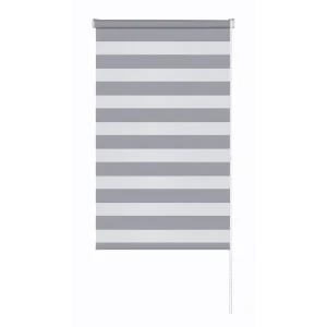 Рулонная штора день-ночь MIAMOZA Петер 80x160 см серая 89411352