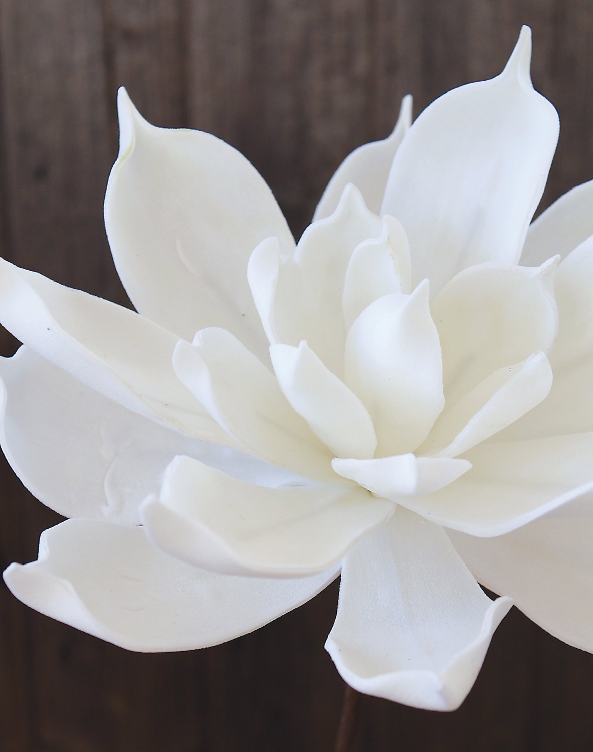 7990 700 a3 Искусственный мягкий цветок магнолии, 28 см, чистый белый H-andreas 