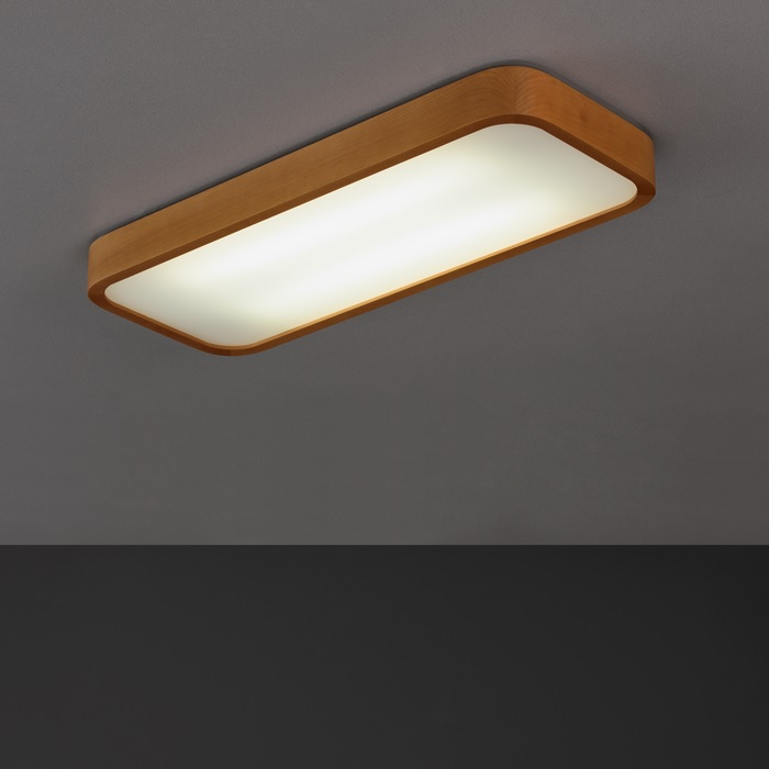 006356 Потолочный светильник Ole! Natura Santreyd