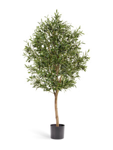 10.27805N Олива Вайн с плодами Цветочная коллекция