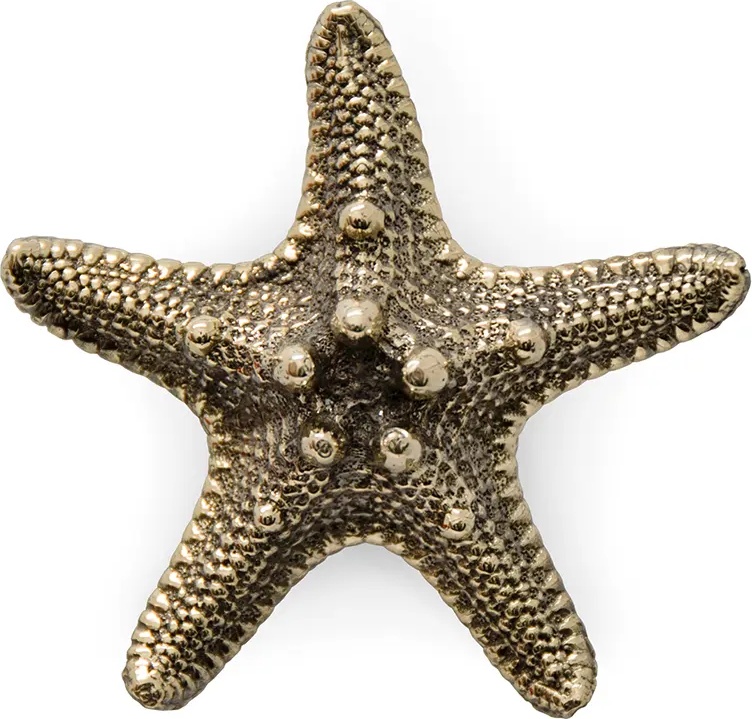 OC2011 Linckia PULLCAST Ocean Collection  - Вид №1